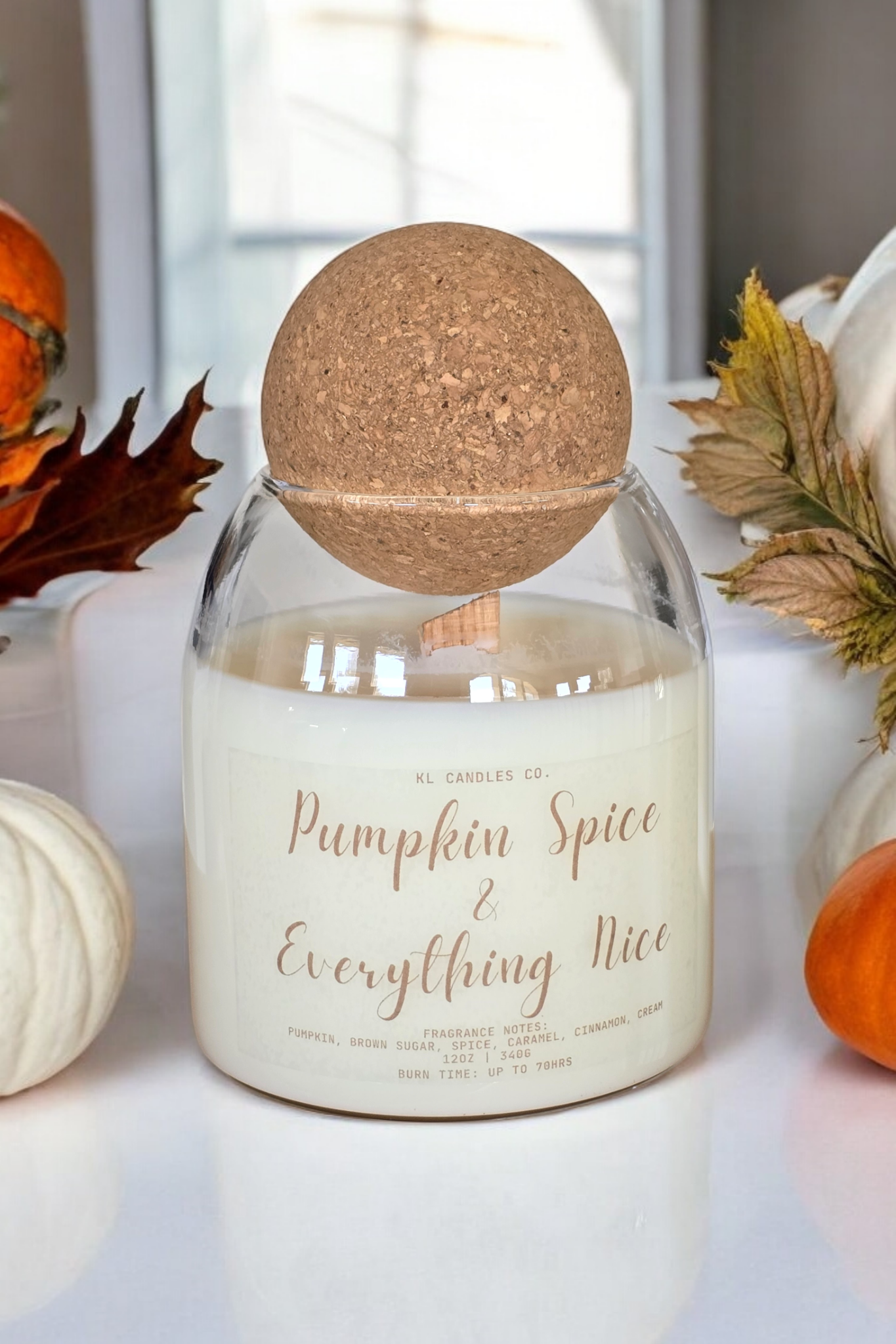 Pumpkin Spice & Everything Nice Scented Candle