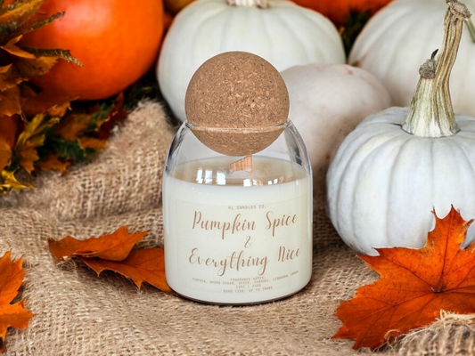 Pumpkin Spice & Everything Nice Scented Candle